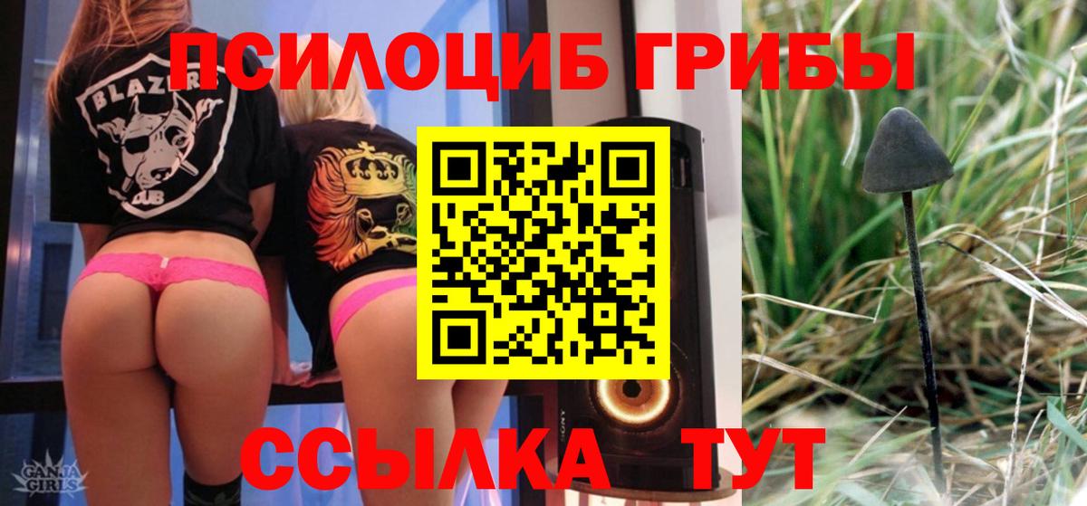 Северск  Псилоцибиновые грибы мицелий  Вход с VPN  Псилоцибиновые грибы Magic Shrooms 