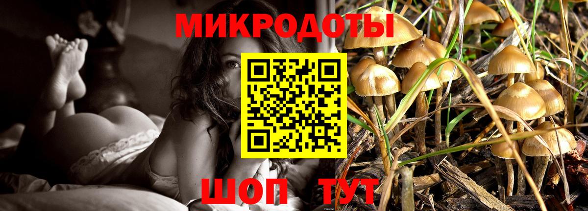 Псилоцибиновые грибы прущие грибы Северск
