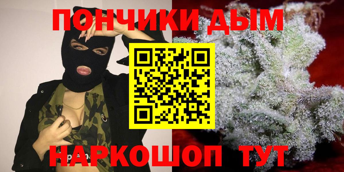 Бошки Шишки сатива Северск